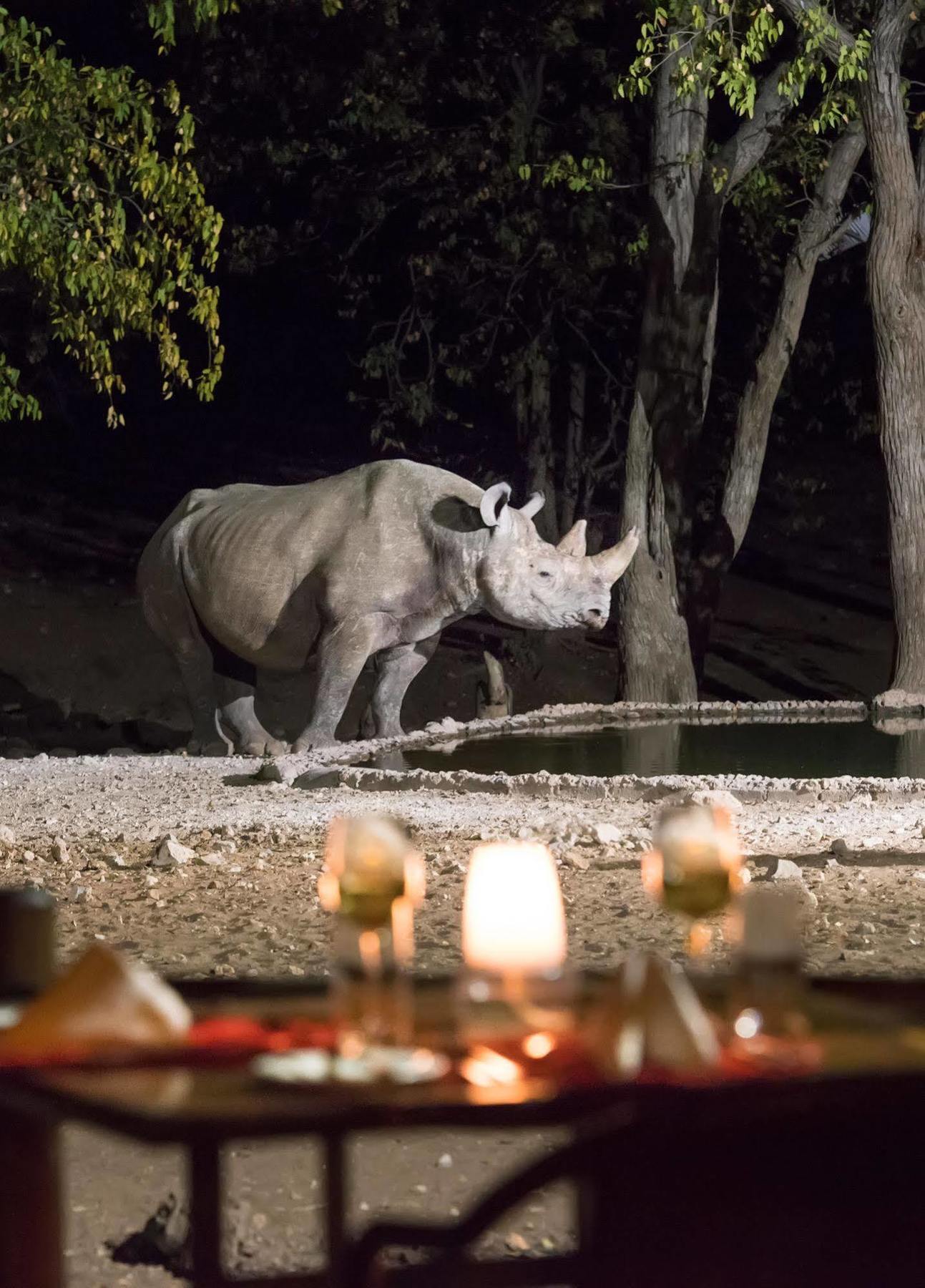 אוקאוקוג'ו Ongava Tented Camp - All-Inclusive מראה חיצוני תמונה