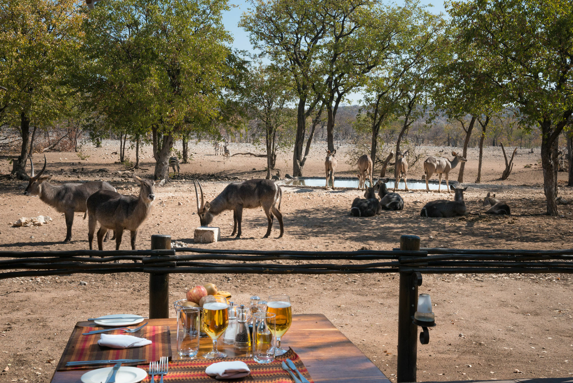 אוקאוקוג'ו Ongava Tented Camp - All-Inclusive מראה חיצוני תמונה